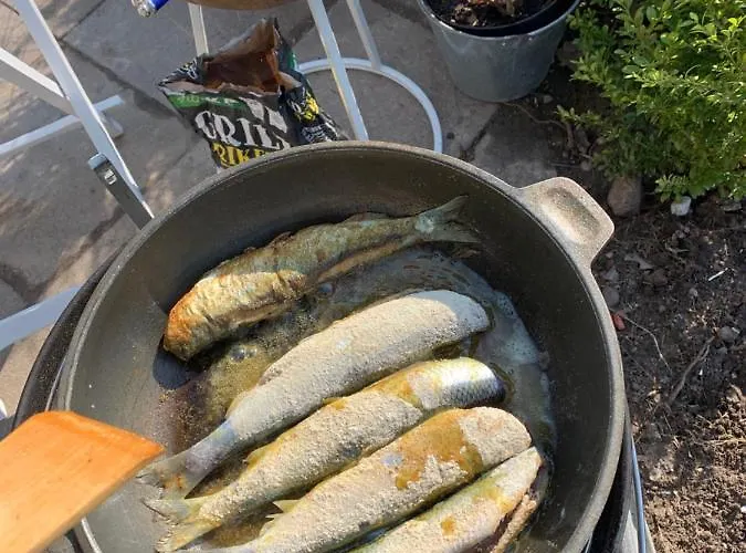 Lille Schlei Hus Boren